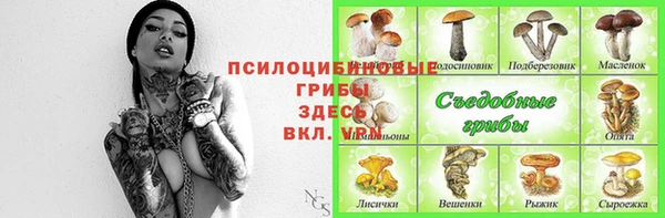 спиды Алзамай