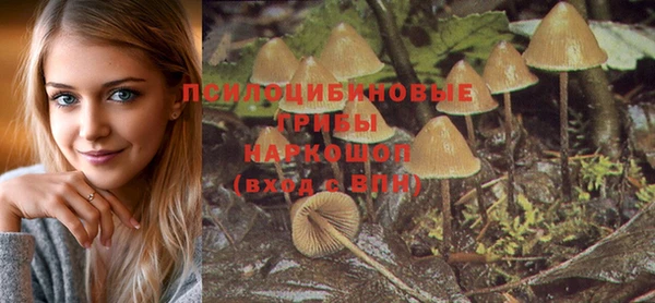a pvp Алексин
