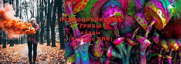 спиды Алзамай