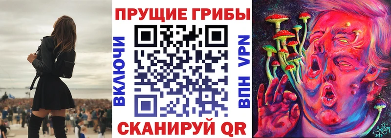 Псилоцибиновые грибы мухоморы  наркошоп  ОМГ ОМГ вход  Выкса 